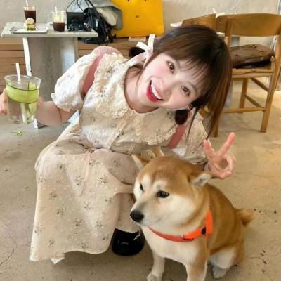 他来自程氏集团